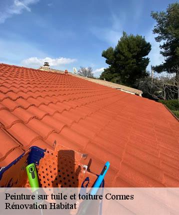 Peinture sur tuile et toiture  cormes-72400 Rénovation Habitat 