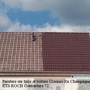 Peinture sur tuile et toiture  72540