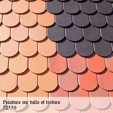 Peinture sur tuile et toiture  72550