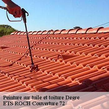 Peinture sur tuile et toiture  72550