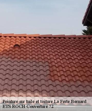 Peinture sur tuile et toiture  la-ferte-bernard-72400 ETS ROCH Couverture 72