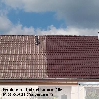 Peinture sur tuile et toiture  72210