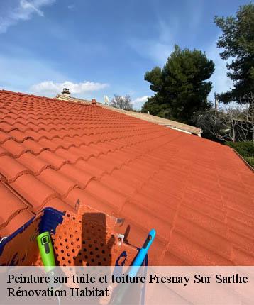 Peinture sur tuile et toiture  fresnay-sur-sarthe-72130 Rénovation Habitat 