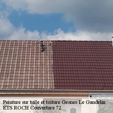 Peinture sur tuile et toiture  72130