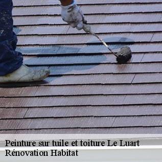 Peinture sur tuile et toiture  72390