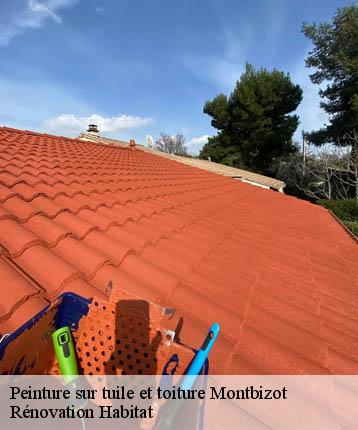 Peinture sur tuile et toiture  montbizot-72380 Rénovation Habitat 