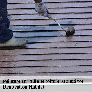 Peinture sur tuile et toiture  72380