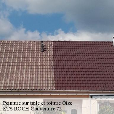 Peinture sur tuile et toiture  72330