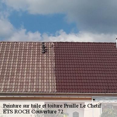 Peinture sur tuile et toiture  72700