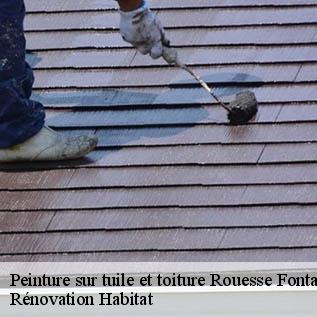 Peinture sur tuile et toiture  72610