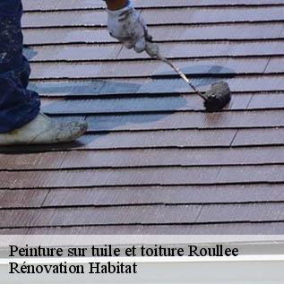 Peinture sur tuile et toiture  72670