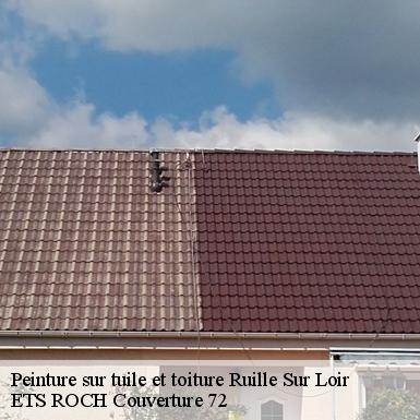 Peinture sur tuile et toiture  72340