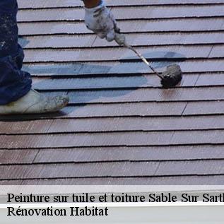 Peinture sur tuile et toiture  72300