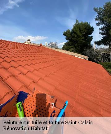 Peinture sur tuile et toiture  saint-calais-72120 Rénovation Habitat 
