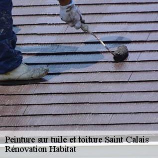 Peinture sur tuile et toiture  72120