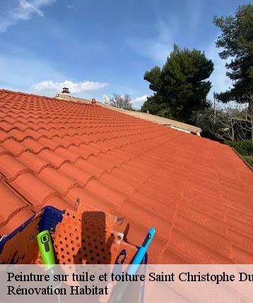 Peinture sur tuile et toiture  saint-christophe-du-jambet-72170 Rénovation Habitat 