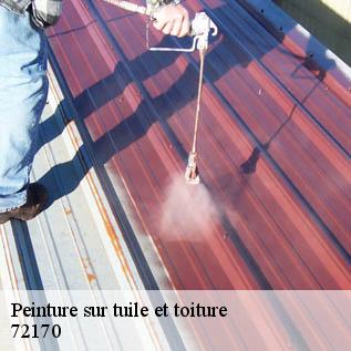 Peinture sur tuile et toiture  72170