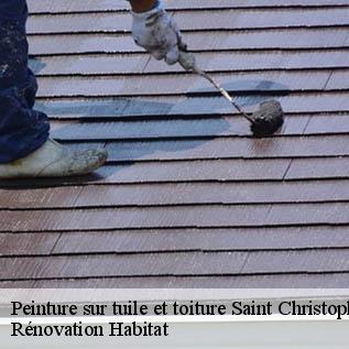 Peinture sur tuile et toiture  72170