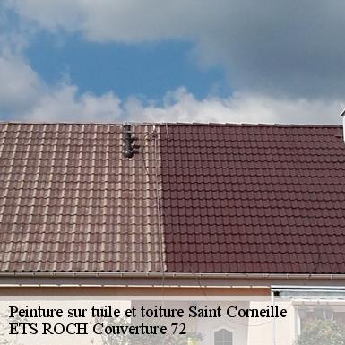 Peinture sur tuile et toiture  72460