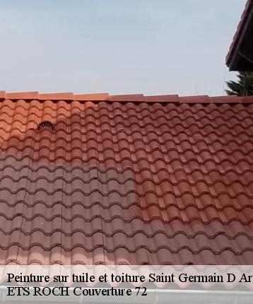Peinture sur tuile et toiture  saint-germain-d-arce-72500 ETS ROCH Couverture 72