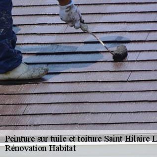 Peinture sur tuile et toiture  72160