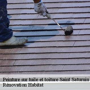 Peinture sur tuile et toiture  72650