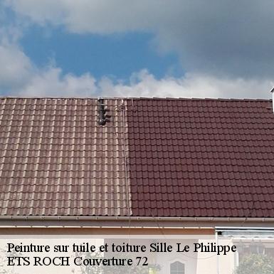 Peinture sur tuile et toiture  72460