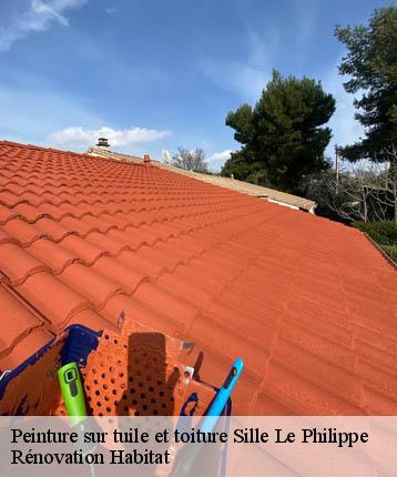 Peinture sur tuile et toiture  sille-le-philippe-72460 Rénovation Habitat 