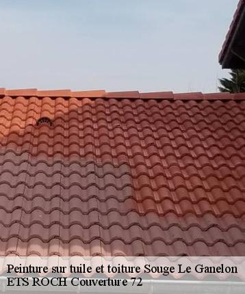 Peinture sur tuile et toiture  souge-le-ganelon-72130 ETS ROCH Couverture 72