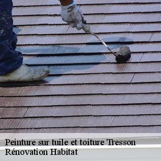 Peinture sur tuile et toiture  72440