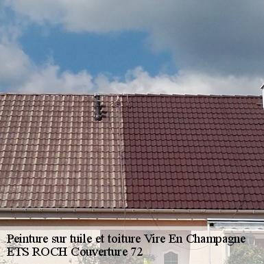 Peinture sur tuile et toiture  72350