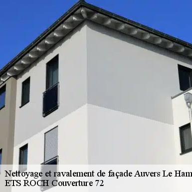 Nettoyage et ravalement de façade  72300