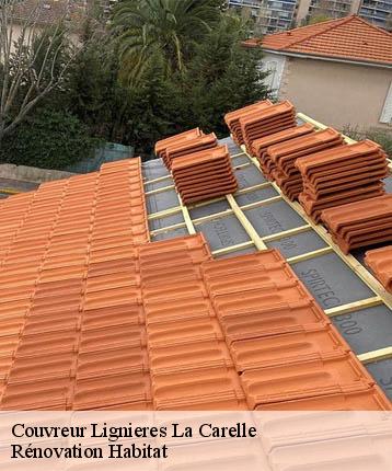 Couvreur  lignieres-la-carelle-72610 Rénovation Habitat 