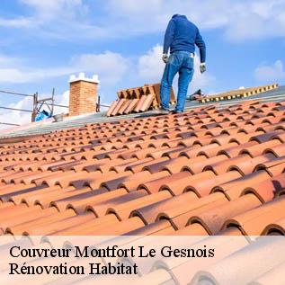 Couvreur  72450