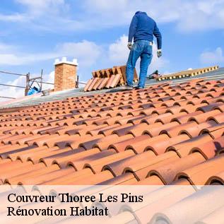 Couvreur  72800