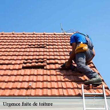 Urgence fuite de toiture  72430