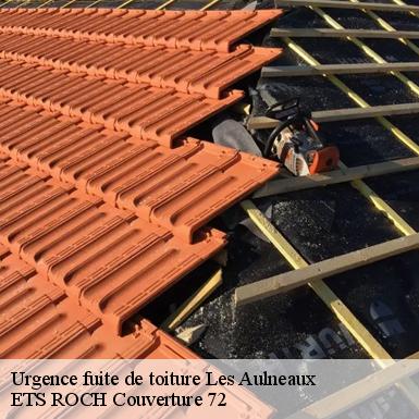 Urgence fuite de toiture  72670