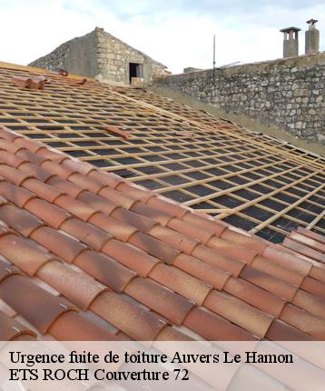 Urgence fuite de toiture  auvers-le-hamon-72300 ETS ROCH Couverture 72