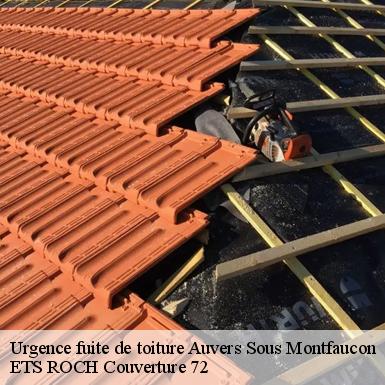 Urgence fuite de toiture  72540