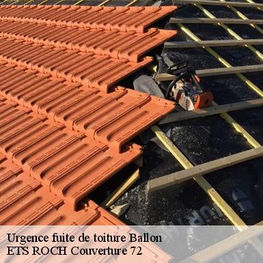 Urgence fuite de toiture  72290