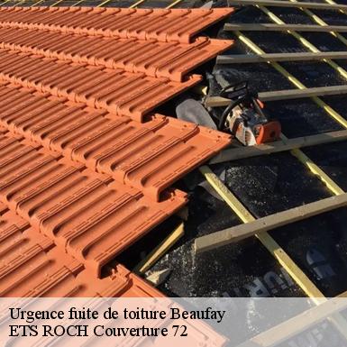 Urgence fuite de toiture  72110