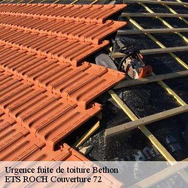 Urgence fuite de toiture  72610