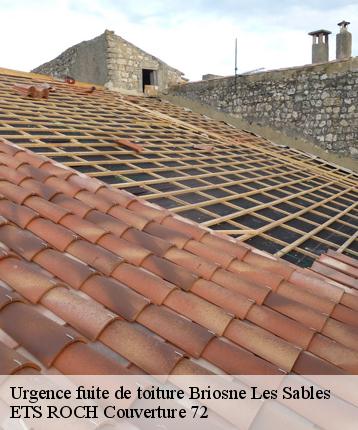 Urgence fuite de toiture  briosne-les-sables-72110 ETS ROCH Couverture 72