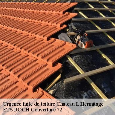 Urgence fuite de toiture  72510