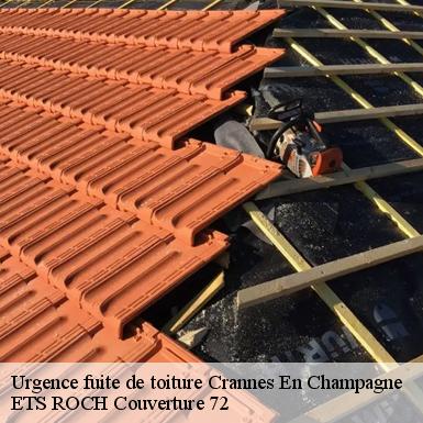 Urgence fuite de toiture  72540