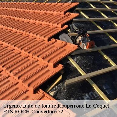 Urgence fuite de toiture  72110