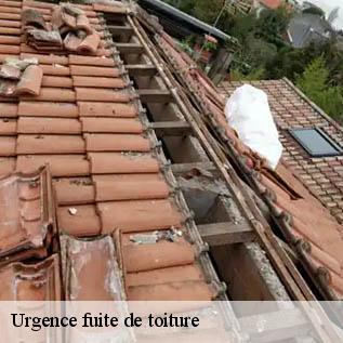 Urgence fuite de toiture  72510