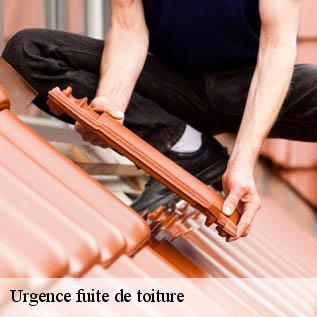 Urgence fuite de toiture  72510