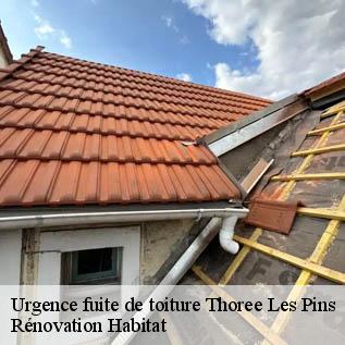 Urgence fuite de toiture  72800